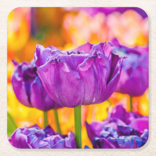 Verzaubernde violette Tulpen Rechteckiger Pappuntersetzer