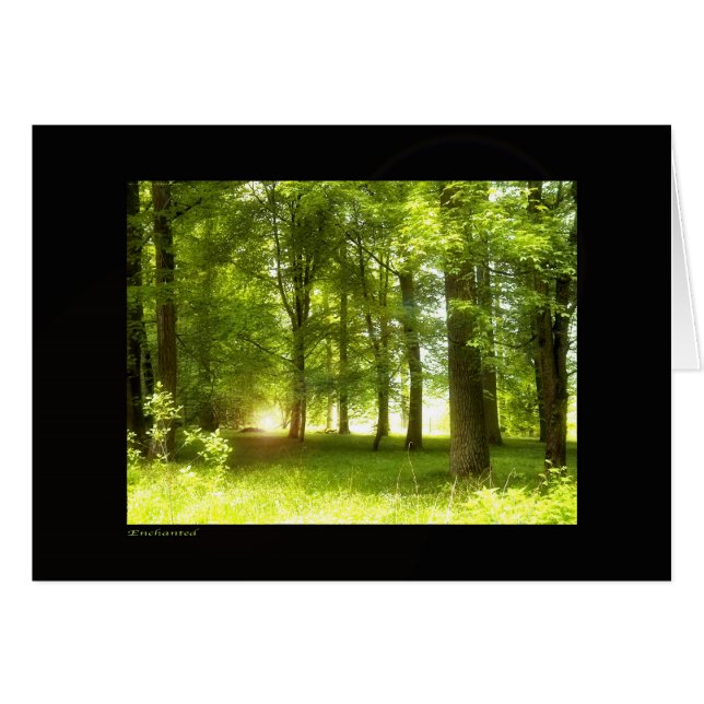 verzaubert (Vorderseite (Horizontal))