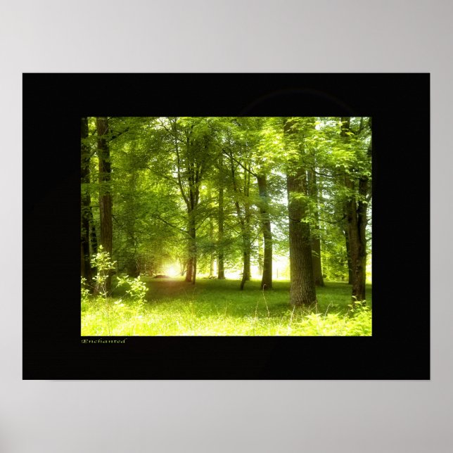 verzaubert poster (Vorne)