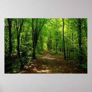 Verzauberte Forststraße 5 Poster