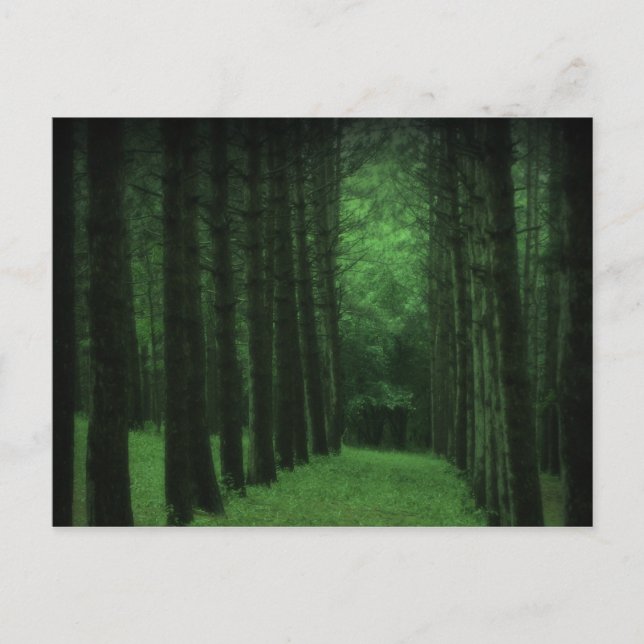 Verzauberte Waldpostkarte Postkarte (Vorderseite)