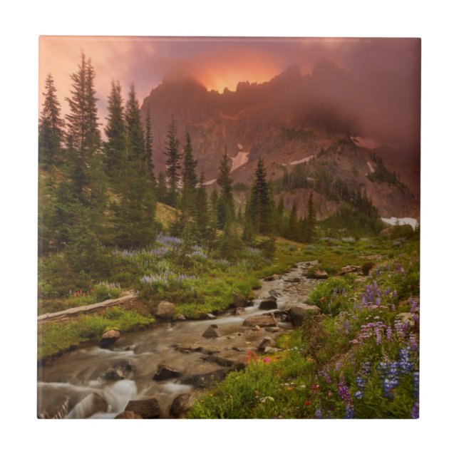 Verzauberte Wiesen Fliese (Vorderseite)