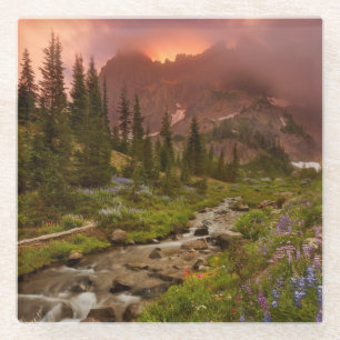 Verzauberte Wiesen Glasuntersetzer