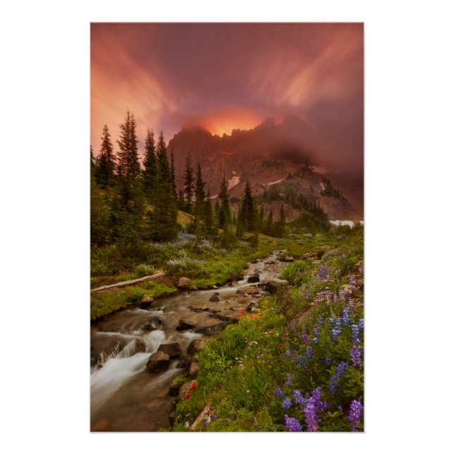 Verzauberte Wiesen Poster (Vorderseite)