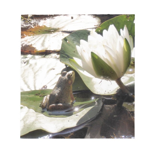 Verzauberter Frosch Notizblock (Vorderseite)