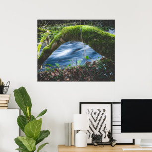 Verzauberter magischer Wald Poster
