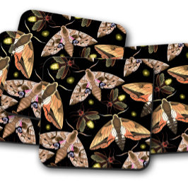 Verzauberter Moth | Naturlich Inspiriert Cork Unte Getränkeuntersetzer