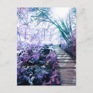verzauberter Pfad Postkarte