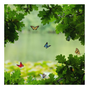 Verzauberter Schmetterlingswald Fotodruck