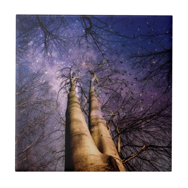 verzauberter Wald Fliese (Vorderseite)