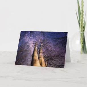 verzauberter Wald Karte