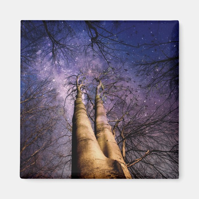 verzauberter Wald Magnet (Vorne)