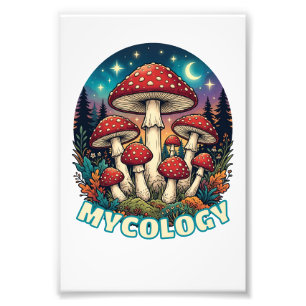 Verzauberter Wald Pilz Kunst Fotodruck