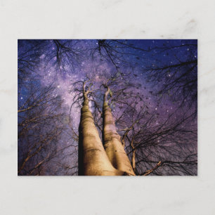 verzauberter Wald Postkarte