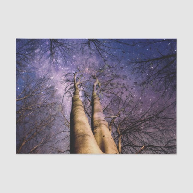 verzauberter Wald Seidenpapier (Vorderseite)