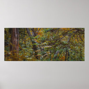 Verzauberter Waldweg Poster