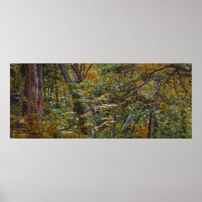 Verzauberter Waldweg Poster (Vorne)