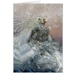 Verzaubertes Eis-Mädchen