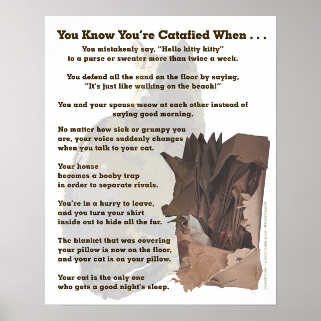 Verzeichnet. Nur ein Katzenliebhaber würde es vers Poster (Vorne)