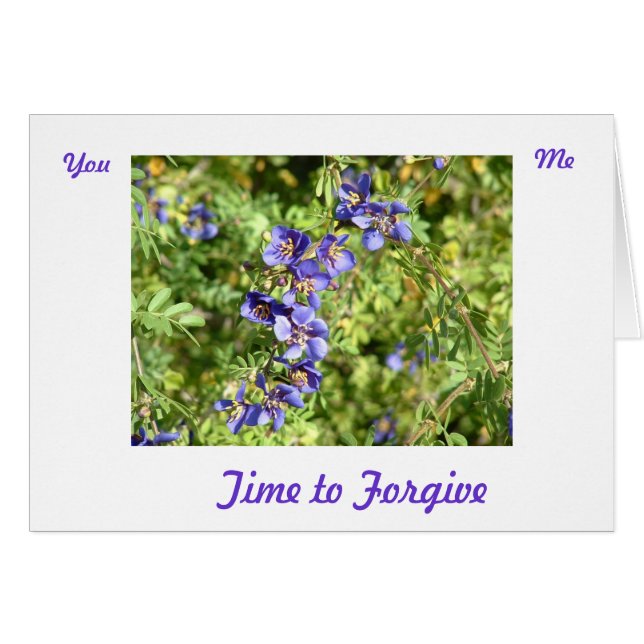 Verzeihen-Karte (Vorderseite (Horizontal))