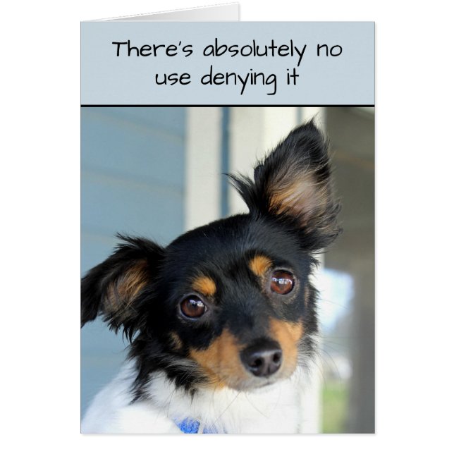 Verzeihen Sie mir Doggie Cuteness Card (Vorne)