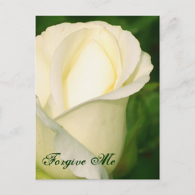 Verzeihen Sie mir/ irgendein Ereignis_Postkarte Postkarte (Vorderseite)