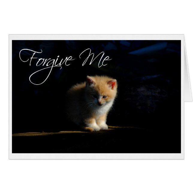 Verzeihung (Vorderseite (Horizontal))