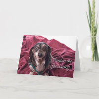 Verzeihung - Dachsund Geburtstagskarte