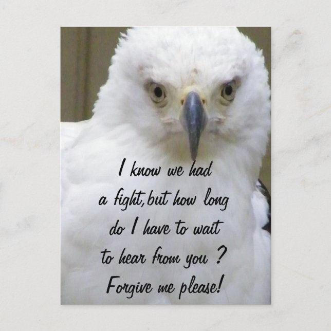 Verzeihung Postkarte (Vorderseite)