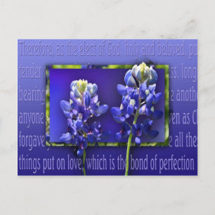 Verzeihung Postkarte