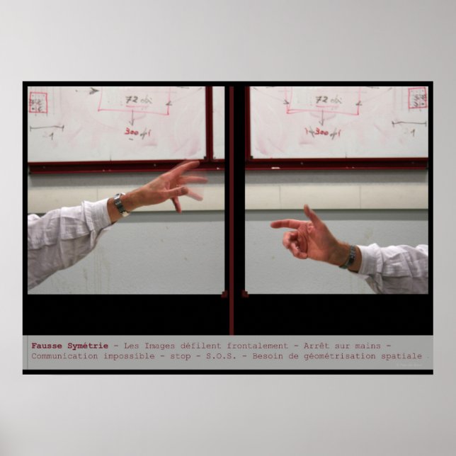 Verzerrung Symmetry Fausse Symetrie Poster (Vorne)
