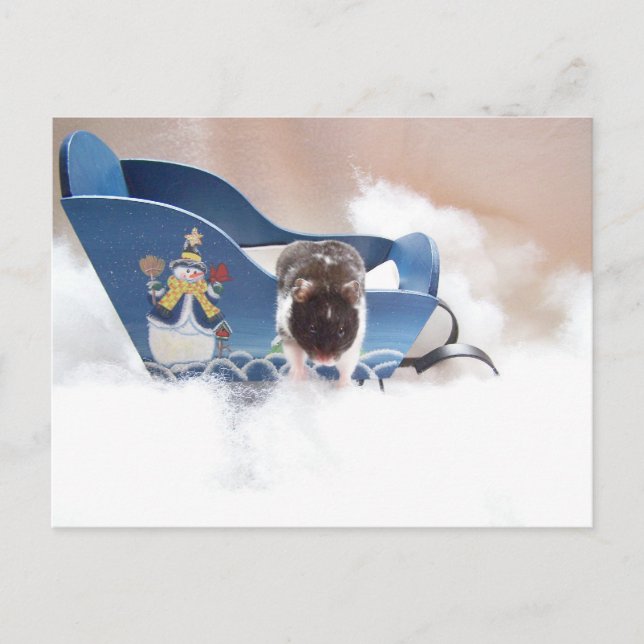 verzichten Sie auf Schlitten! Postkarte (Vorderseite)