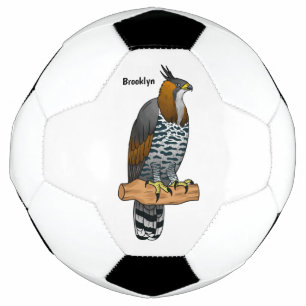 Verzierte Darstellung des Cartoon von Adlervögeln Fußball