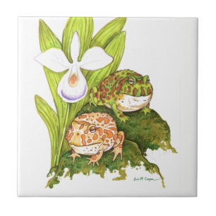 Verzierte Hornfrosche Fliese