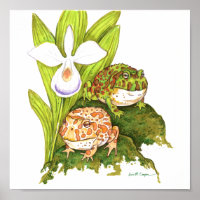 Verzierte Hornfrosche