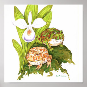 Verzierte Hornfrosche Poster