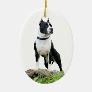 Verzierung amerikanischen Staffordshires Terrier Keramik Ornament