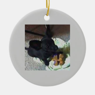 VERZIERUNG DES BABY-POKEMON KERAMIKORNAMENT