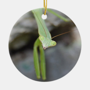 Verzierung des betenden Mantis Keramikornament
