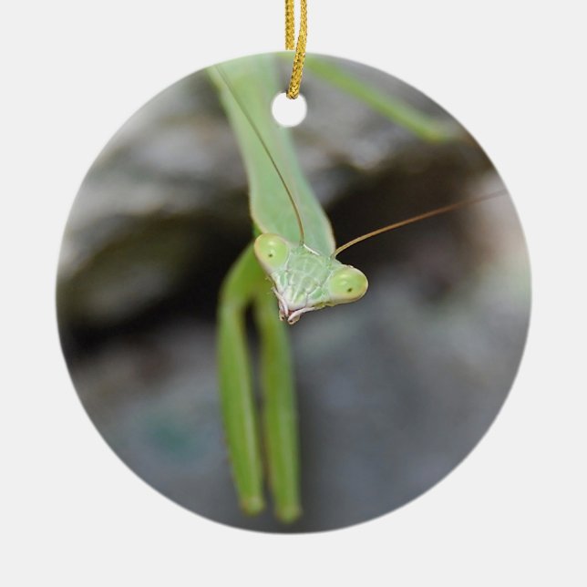 Verzierung des betenden Mantis Keramikornament (Vorne)
