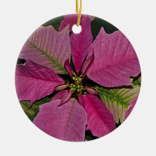 Verzierung Keramik Ornament (Vorne)