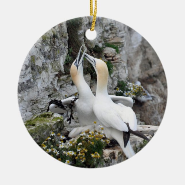 Verzierung: Liebendes Gannets Keramik Ornament (Vorne)