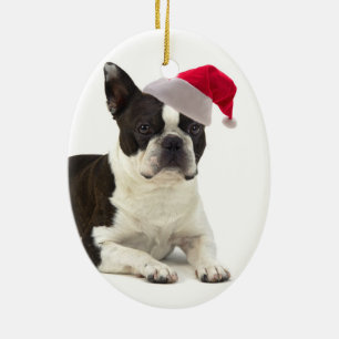 Verzierung Sankt Boston Terrier Keramik Ornament