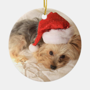 Verzierung Sankt Yorkie Keramik Ornament