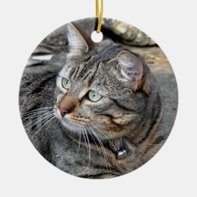 Verzierung: Tabbykatze Keramik Ornament (Vorne)