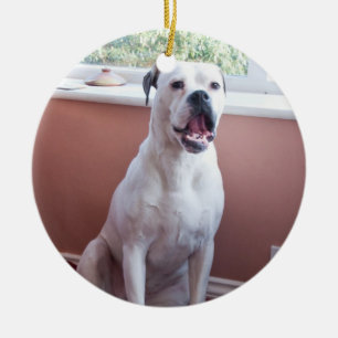 Verzierung: Weißer Boxer-Hund Keramik Ornament