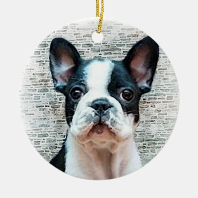 Verzierung Welpe der französischen Bulldogge Keramik Ornament (Vorne)