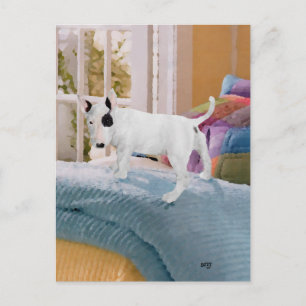 Verzogen? Bull Terrier Welpe . . . Nein Postkarte