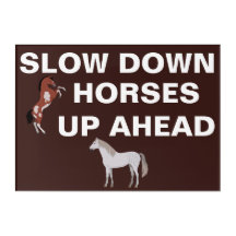 VERZÖGERUNG DER HORSES VORHER