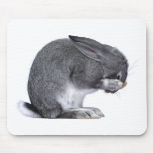 Verzweifelndes Kaninchen Mousepad